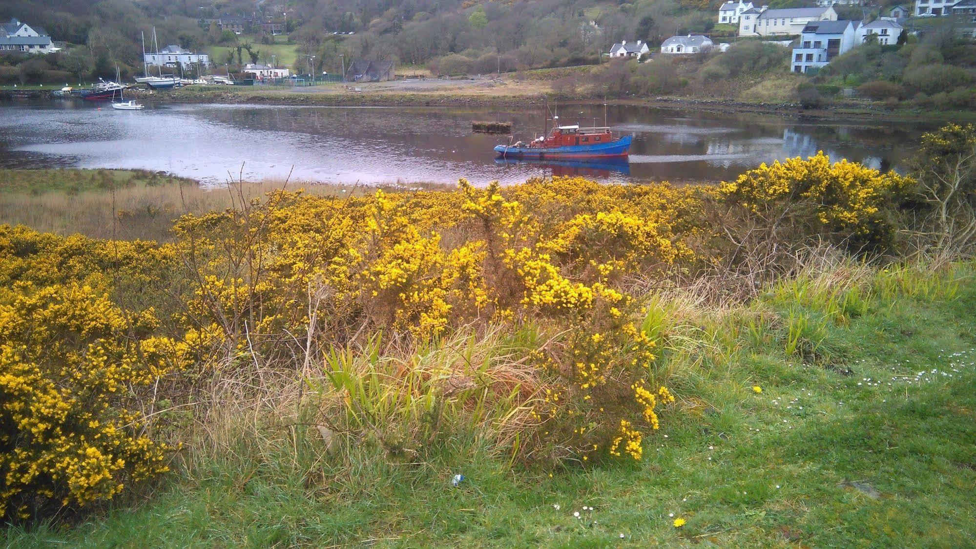 Clifden Apartment Esterno foto